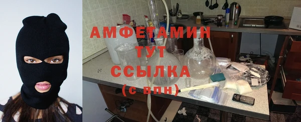 индика Михайловск