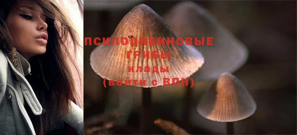 индика Михайловск