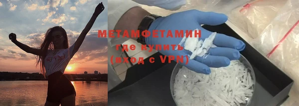 индика Михайловск
