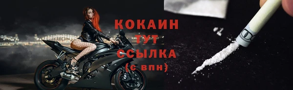индика Михайловск