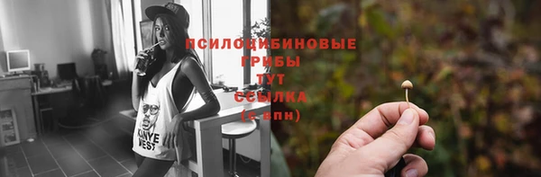 не бодяженный Медвежьегорск