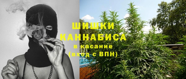 стаф Мегион