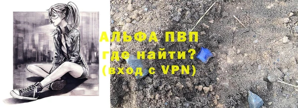 индика Михайловск