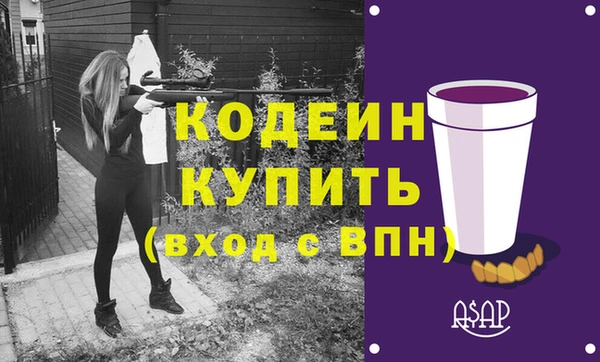 индика Михайловск