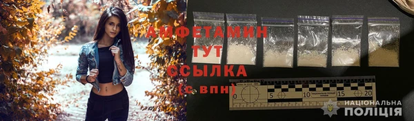 индика Михайловск
