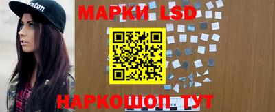 гашик Берёзовский