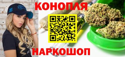 гашик Берёзовский