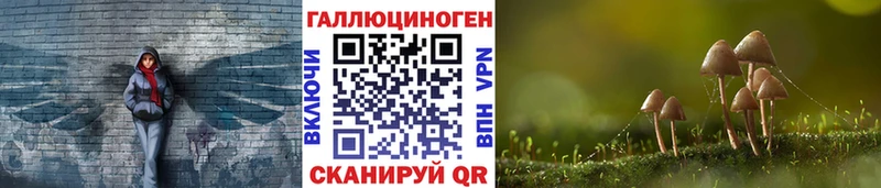 дарнет шоп  Нижнеудинск  Галлюциногенные грибы Cubensis 
