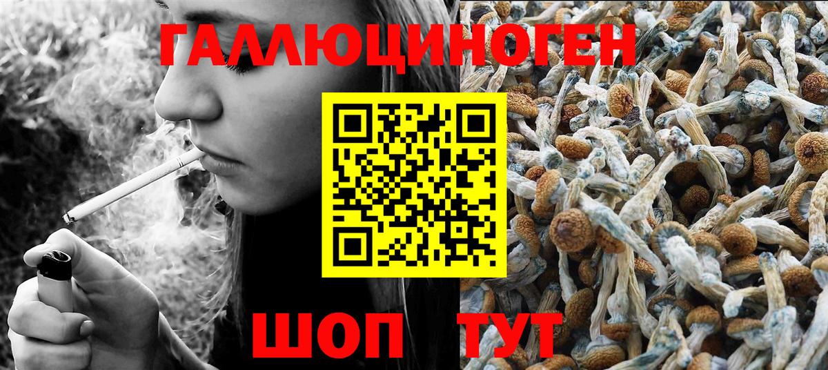Галлюциногенные грибы Magic Shrooms  Вход с VPN  Нижнеудинск 