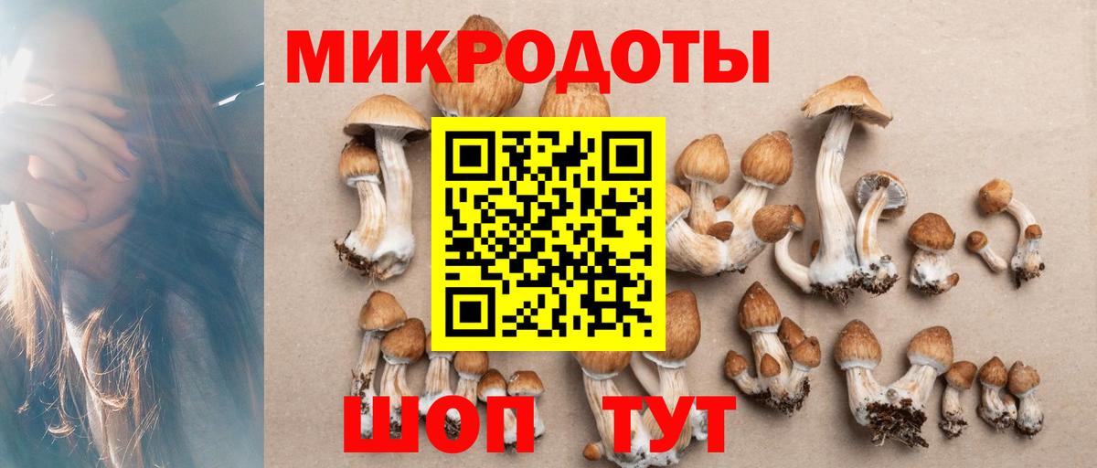 Галлюциногенные грибы MAGIC MUSHROOMS Нижнеудинск