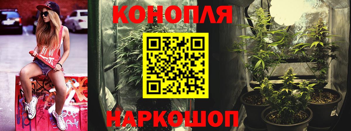 Бошки марихуана ГИДРОПОН Нижнеудинск
